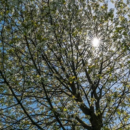 De Oosterling Bed & Breakfast 3*