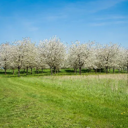 De Oosterling Frühstückspension *