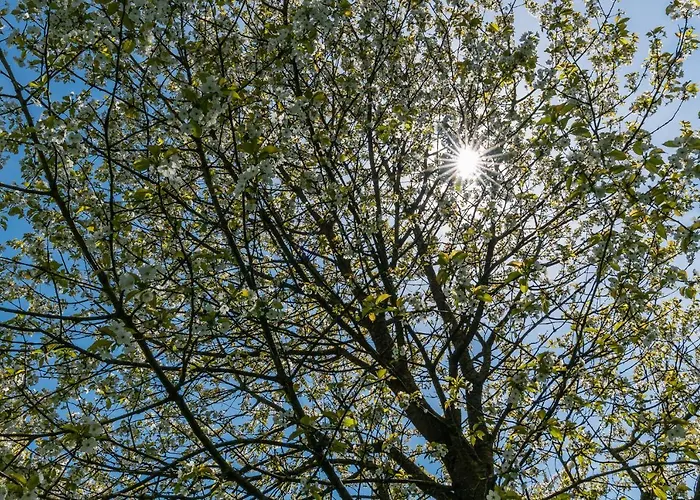 De Oosterling Bed & Breakfast 3*