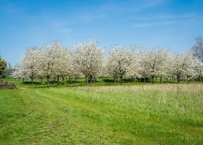 De Oosterling Bed & Breakfast 3*