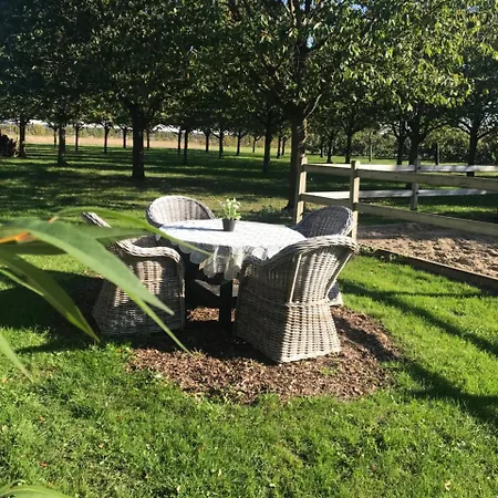Bed and breakfast De Oosterling *