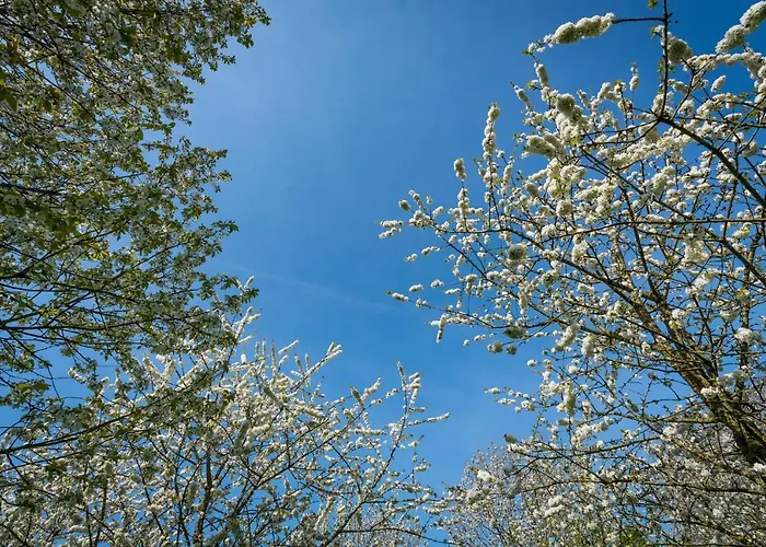 De Oosterling Frühstückspension Deil